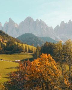 portfolio 01 240x300.jpg